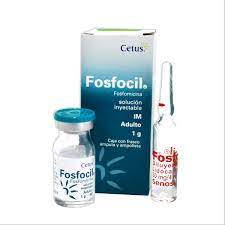 FOSFOCIL INY. I.M. 1 GR  (10.00%)